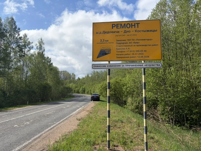 Источник: transport.pskov.ru