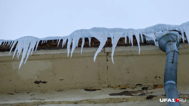 Источник: Булат Салихов / UFA1.RU