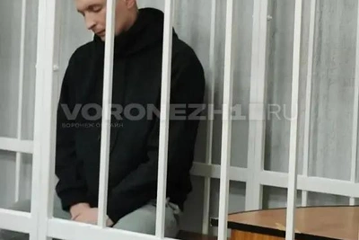 Сыну чиновницы ФНС дали 9 лет за ДТП со смертью