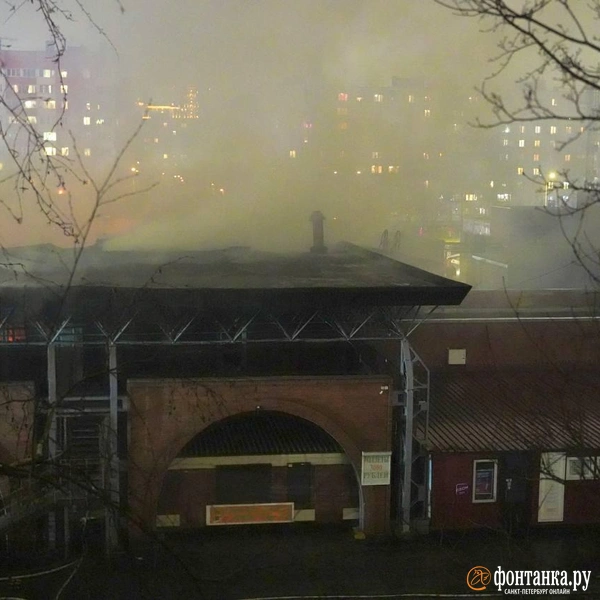 Источник: Павел Даиси / FONTANKA.RU