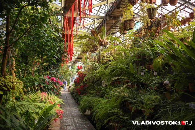 Источник: Елена Буйвол / VLADIVOSTOK1.RU