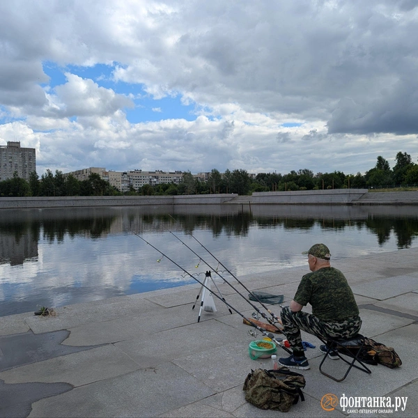 Источник: Федор Данилов / FONTANKA.RU