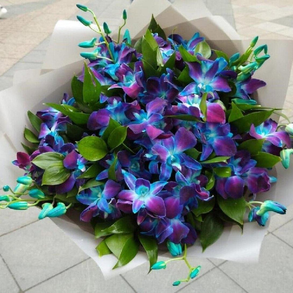 Букет синих орхидей с рускусом, Almond Roses