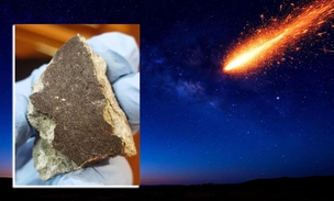 Разбросало по лесам и болотам: ученые показали обломки метеорита, пролетевшего над Севером России