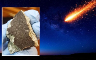 Разбросало по лесам и болотам: ученые показали обломки метеорита, пролетевшего над Севером России