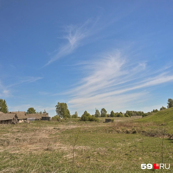 Грибаны окружены полями | Источник: Василина Любимова / 59.RU