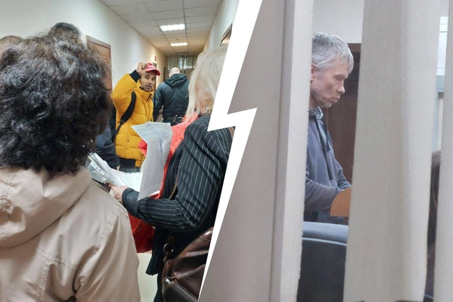 Экозащитников «Лосиного острова» арестовали на неделю | Источник: Александр Куприянов / T.me