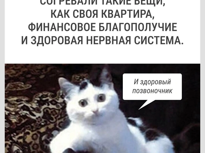 Это основы | Источник: Городские медиа