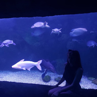 Аватарка kriii_ii