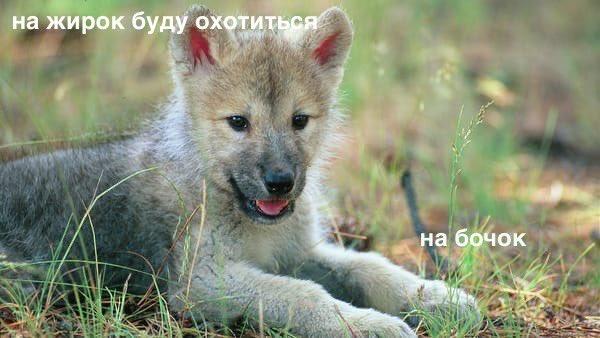 Источник: Соцсети