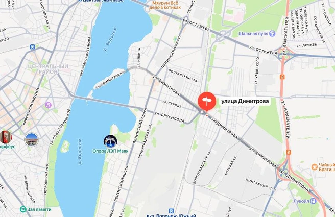 Улица Димитрова на карте Воронежа | Источник: Яндекс Карты / yandex.ru/maps