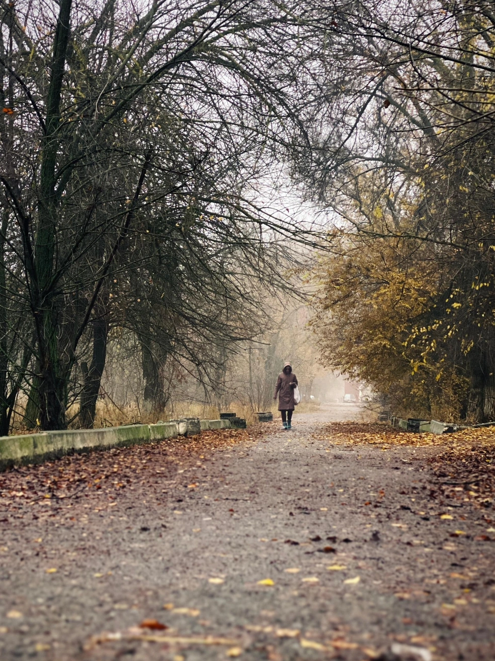 Источник: Юлия Воропаева