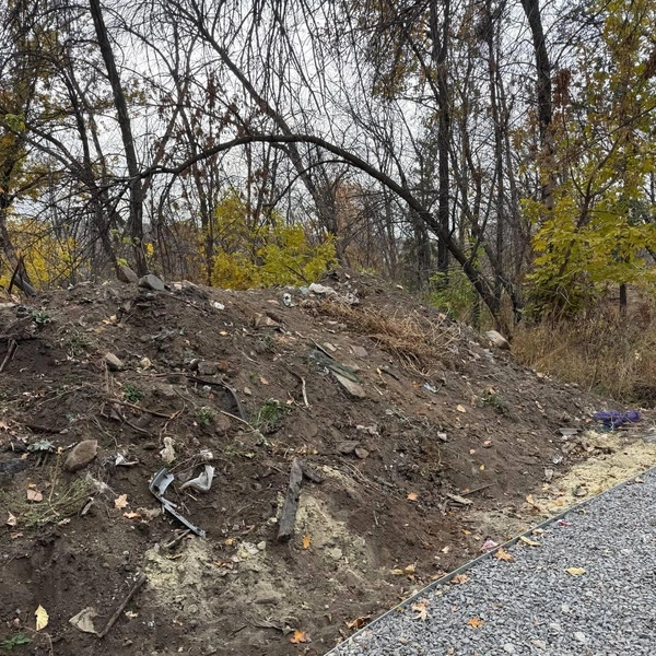 Источник: «Володин Саратов» / Telegram