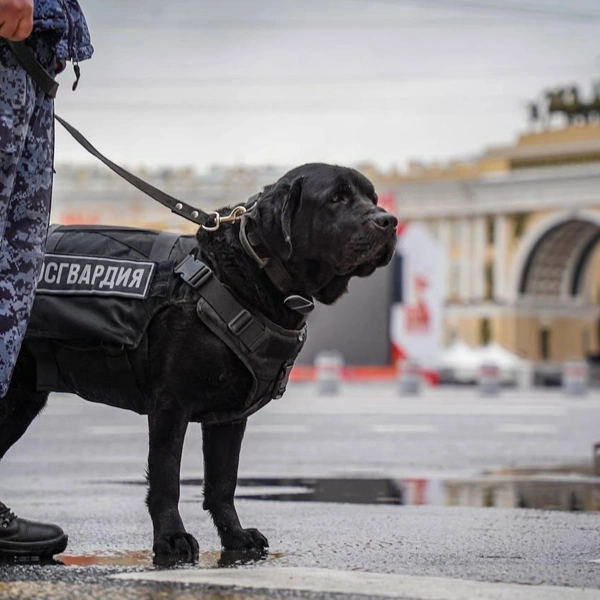 Источник: Росгвардия