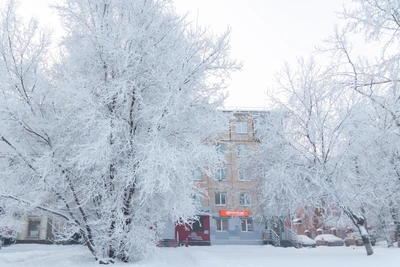 Krasnoyarsk's January frost to ease by week's end