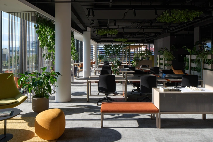 Источник: Максим Лоскутов