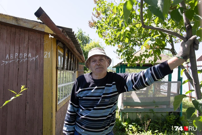 Быть садоводом Юрию Васильевичу нравится | Источник: Илья Бархатов