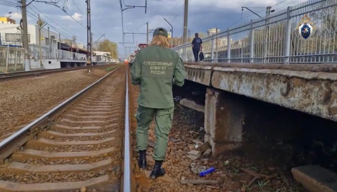 Электричка протащила подростка вдоль платформы в Москве. Машинист и помощник задержаны | www.fontanka.ru