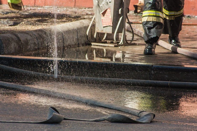 Источник: Ксения Зимина