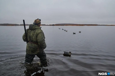 Весенняя охота в Ярославской области: сроки и правила