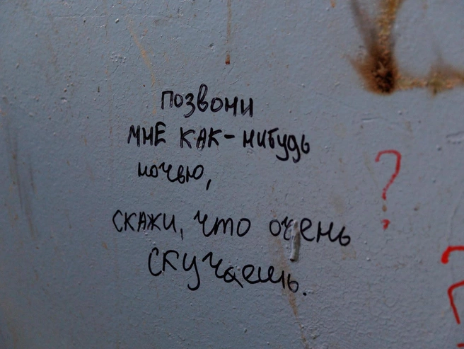 Источник: Ирина Шарова / 72.RU 