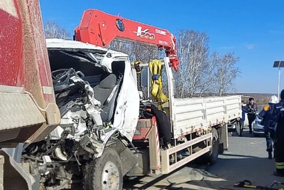 Водитель грузовика погиб в ДТП на трассе Благовещенск — Свободный