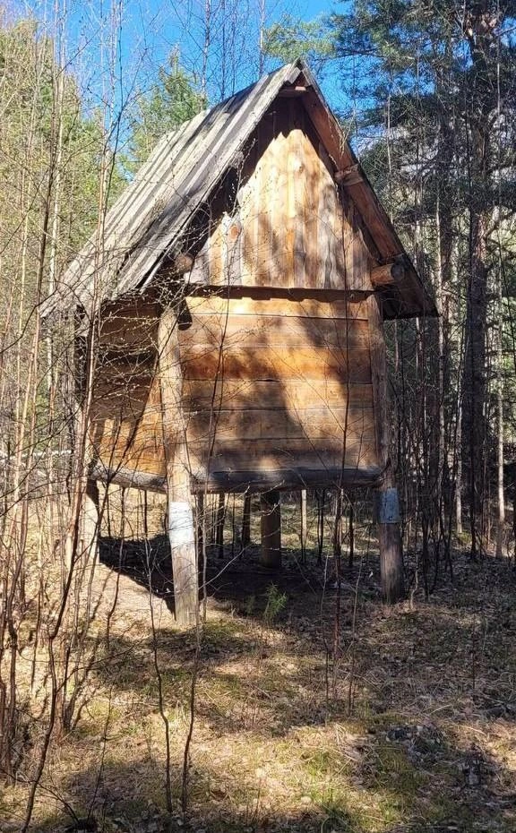 Многие поселения оказались заброшенными | Источник: Алексей Котельников