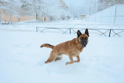 Irkutsk Weather: Frost to Give Way to Warming