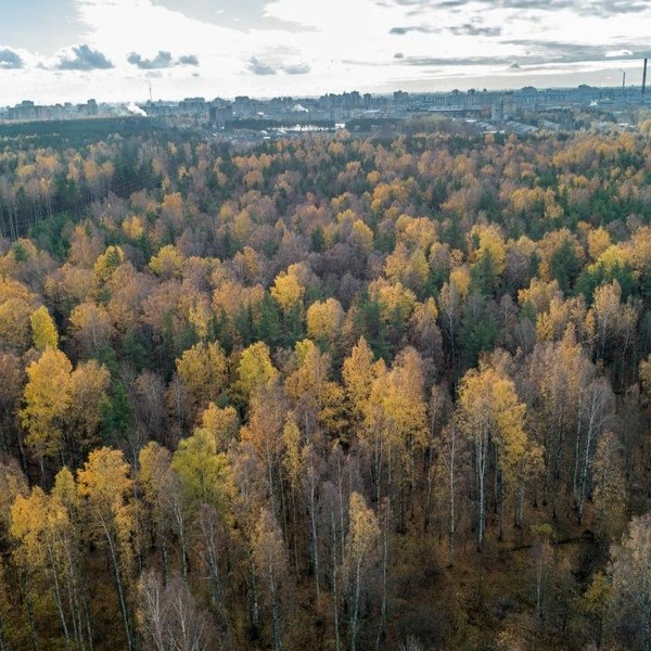 Источник: правительство Петербурга