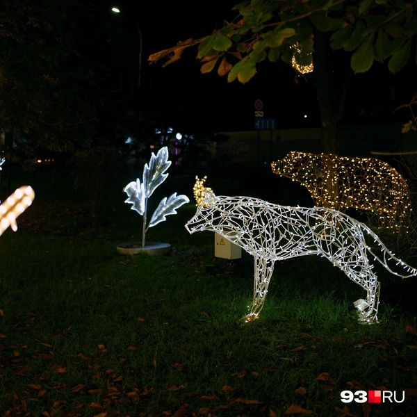 Жителей и гостей города просят не ходить по траве | Источник: Дарья Паращенко / 93.RU