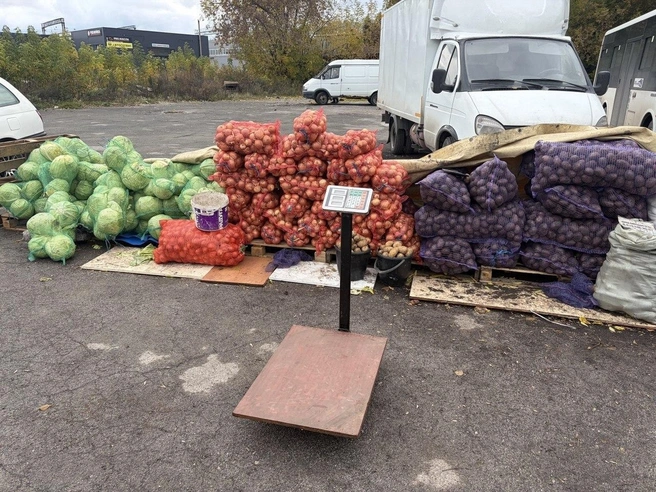 В Новосибирске изъяли почти 8 тонн овощей | Источник: Александр Ощепков / NGS.RU