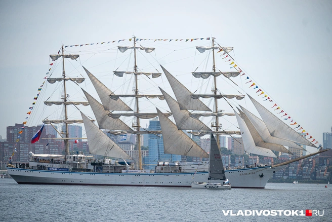 Источник: Елена Буйвол / VLADIVOSTOK1.RU