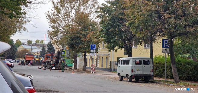 Старые деревья там заменят новыми | Источник: читательница YA62.RU