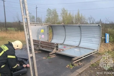 На мужчину в Панковке упала остановка