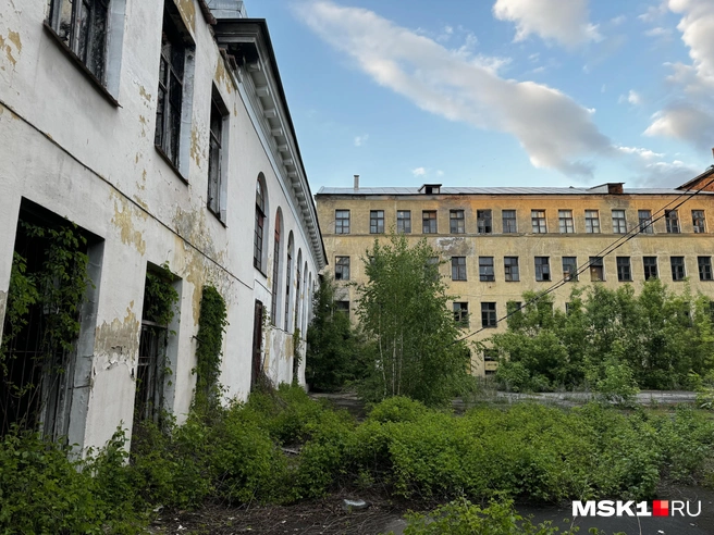 Источник: Алина Мельникова / MSK1.RU