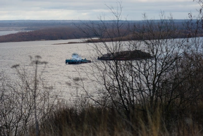 Какие рыбы ушли из Северной Двины и какие могут появиться