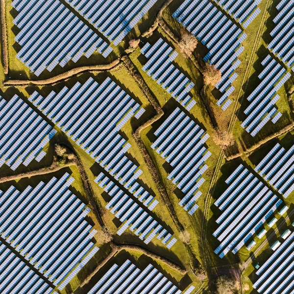 Вид с воздуха на солнечную электростанцию в Кембридже, Великобритания | Источник: Francesco Russo / Wildlife Photographer of the Year 2025