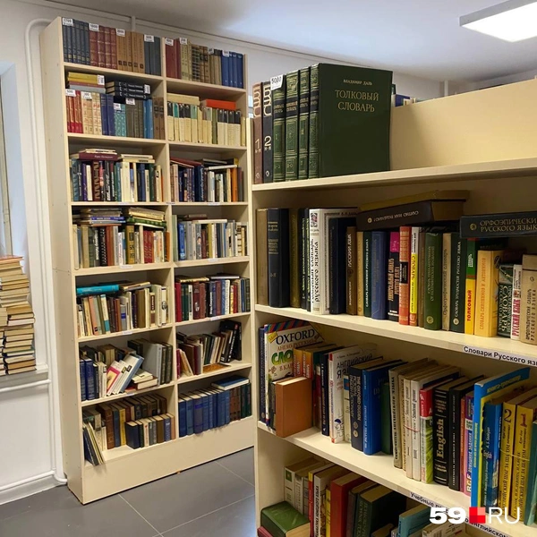 Не все книги расставлены по полкам — некоторые лежат на подоконнике | Источник: Ангелина Суворова / 59.RU