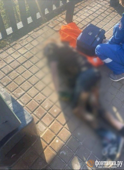Подросток получил смертельный удар током, прокатившись на крыше электрички | Источник: читатель «Фонтанки» Константин