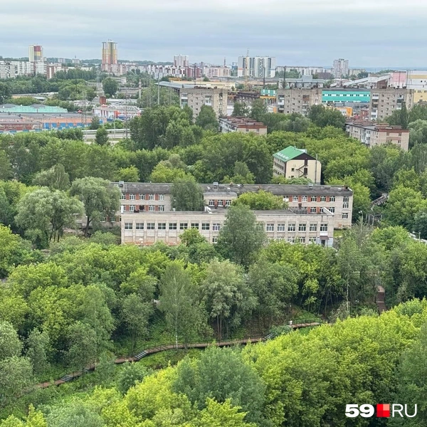 Экотропу видно из окон, выходящих во двор | Источник: читатель 59.RU