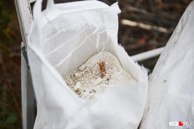 Также их дополнительно подкармливают мелом, чтобы панцирь был крепкий | Источник: Роман Данилкин / 63.RU