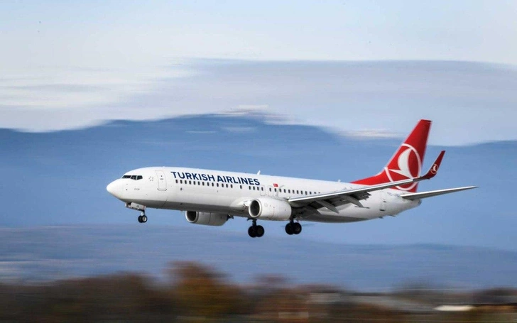 Росавиация пригрозила Turkish Airlines санкциями из-за хаоса на рейсе в Бодрум | Источник: Getty images