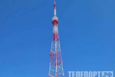 Ромашковое поле на телебашне: Амурская область отмечает День семьи