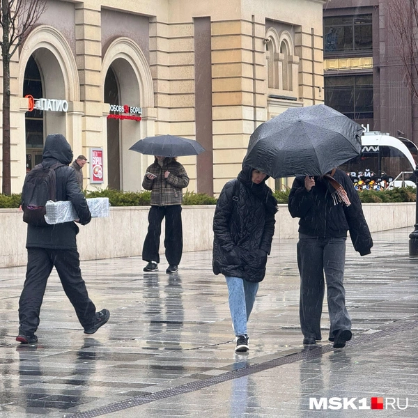 Мощный ливень обрушился на Москву | Источник: Дмитрий Толстошеев / MSK1.RU