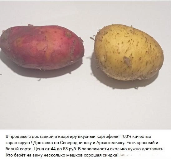 Источник: Мой рынок Архангельск Северодвинск Новодвинск / Vk.com