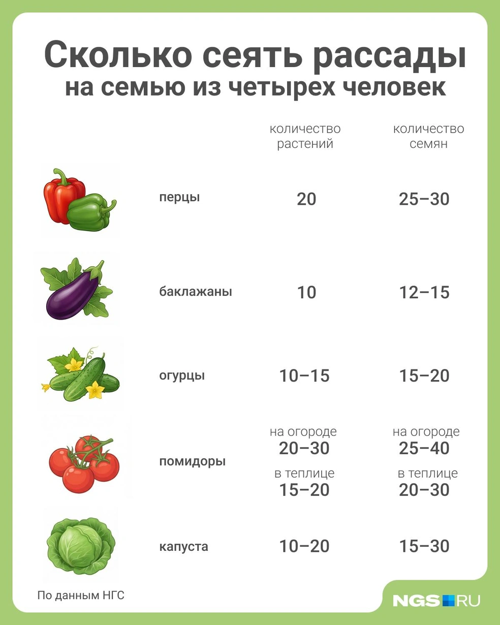Источник: Юрий Орлов / Городские медиа