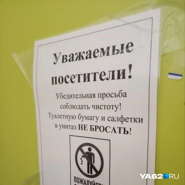 Источник: Анастасия Фокина / YA62.RU