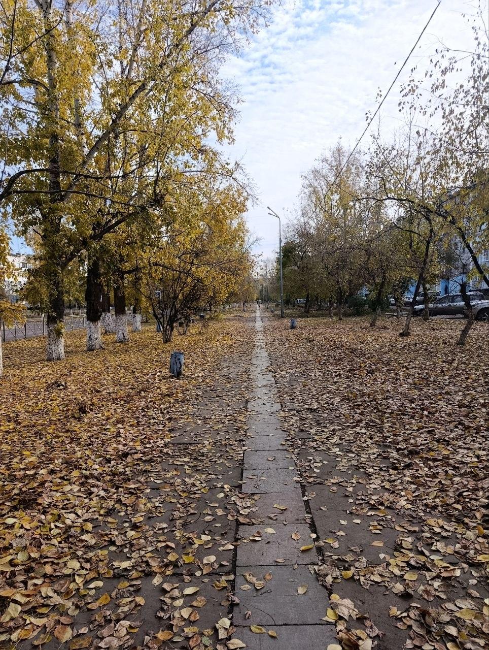 Какой будет зима в Чите? Предсказываем по погоде на Покров