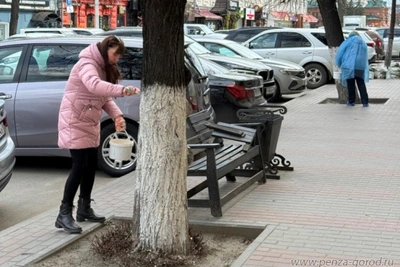 Муниципальные служащие побелили деревья в Пензе