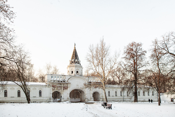 Чем заняться на каникулах: зима в Коломенском и Измайлове